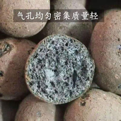 韶山陶粒回填卫生间的施工方法