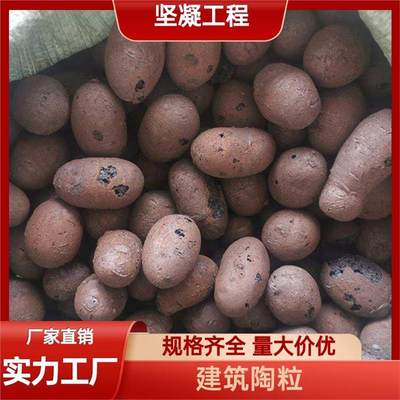 坚凝