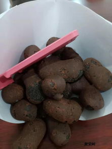 防城港陶粒 工程与家用优选,品质卓越价格实惠