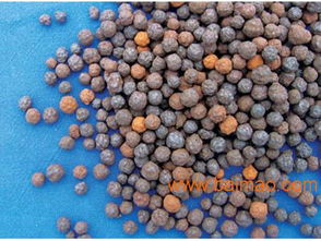 甘肃花卉陶粒与工程陶粒市场浅析