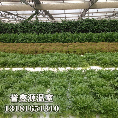 多跨温室无土栽培工程中的关键材料 工程陶粒的应用与优势